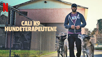 Cali K9: Hundeterapeutene (2021)